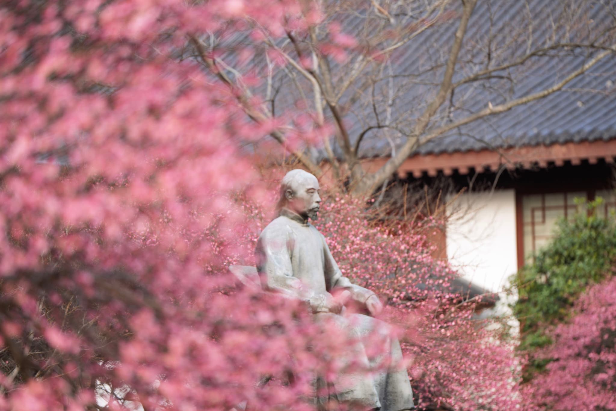 一座雕像坐落在盛开的粉色花丛中，背景是传统的亚洲风格建筑。