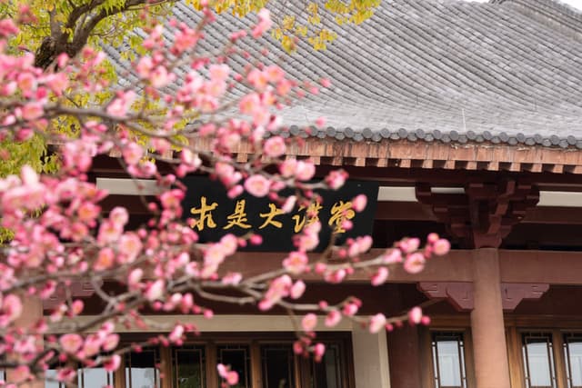 一栋传统风格的建筑，屋顶呈灰色，屋檐下悬挂着一块黑色的牌匾，上面写着汉字。前景中，一棵开满粉色花朵的树木模糊了部分建筑，营造出春意盎然的氛围。